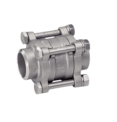 Non Return Valve - Sw Or Bw Ends